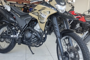TZ 250 LANDER