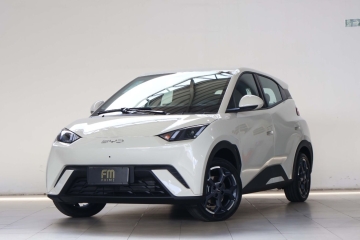 Dolphin Mini