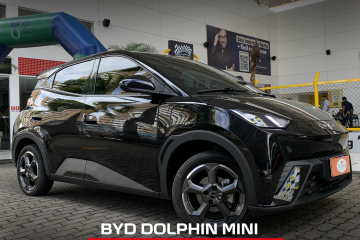 Dolphin Mini