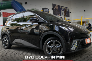 Dolphin Mini