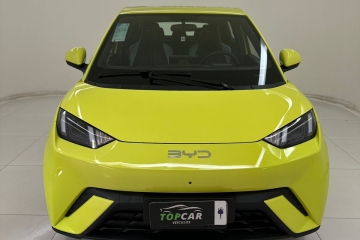 BYD MINI DOLPHIN GS 2026