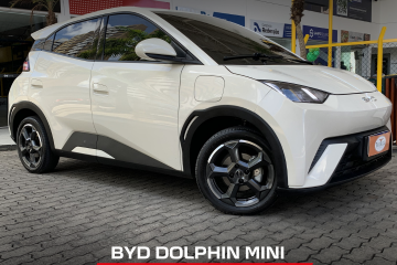 Dolphin Mini