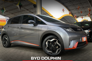 DOLPHIN