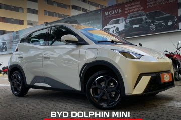 Dolphin Mini