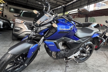FZ15