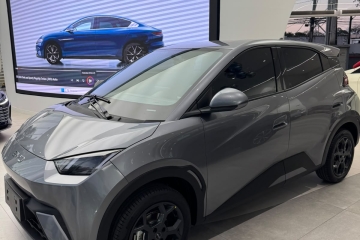 BYD MINI DOLPHIN GS 2026